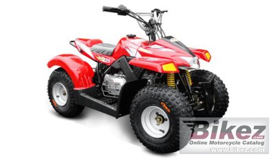 2013 Loncin LX50ATV-2 Kitten photo
